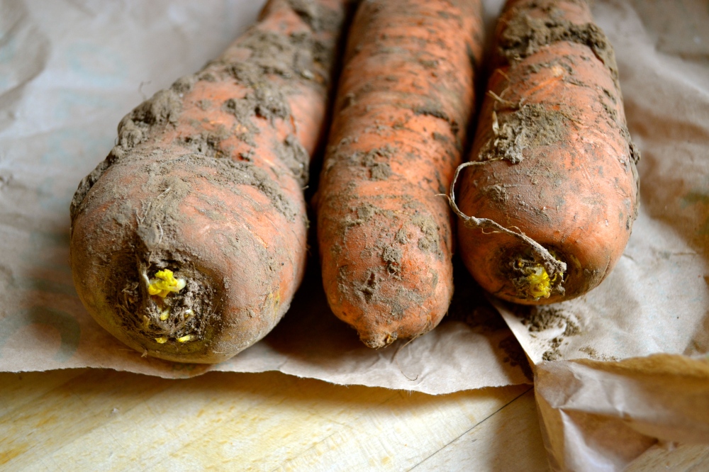Organic london carrots